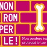 ‘Non Romperle!’, parte il tour nelle piazze italiane per il benessere di ossa e muscoli