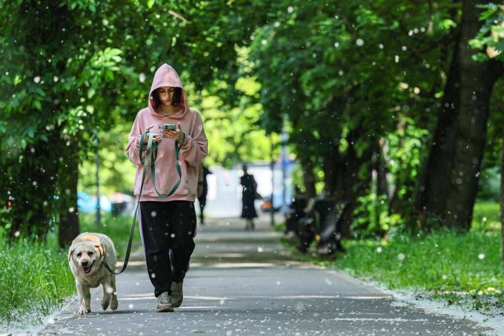 Obbligo di lavare la pipì del cane in strada, Bassetti: “Dal punto di vista scientifico non serve a nulla”