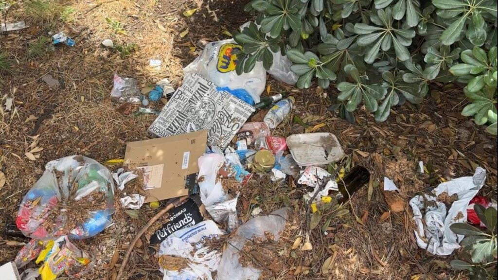 Roma, aiuole e marciapiedi nel degrado intorno alla Nuvola: all’Eur cittadini costretti a camminare fra le auto