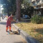 Roma, ripulite le aiuole nel degrado intorno alla Nuvola: l’intervento dopo la denuncia dell’Adnkronos