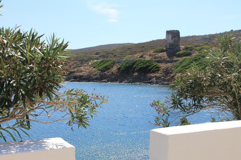 Asinara dal mare: guida a un’isola da scoprire in catamarano