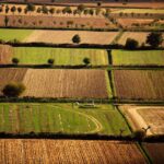 Banca nazionale delle Terre Agricole (Bta), al via nona edizione: in vendita 8.863 ettari per un valore di oltre 121 milioni di euro