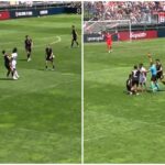 Bologna, follia Rowe in amichevole: maxi rissa e rosso