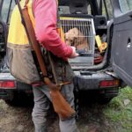 Caccia, associazioni venatorie: “Su ddl pregiudizi ideologici”