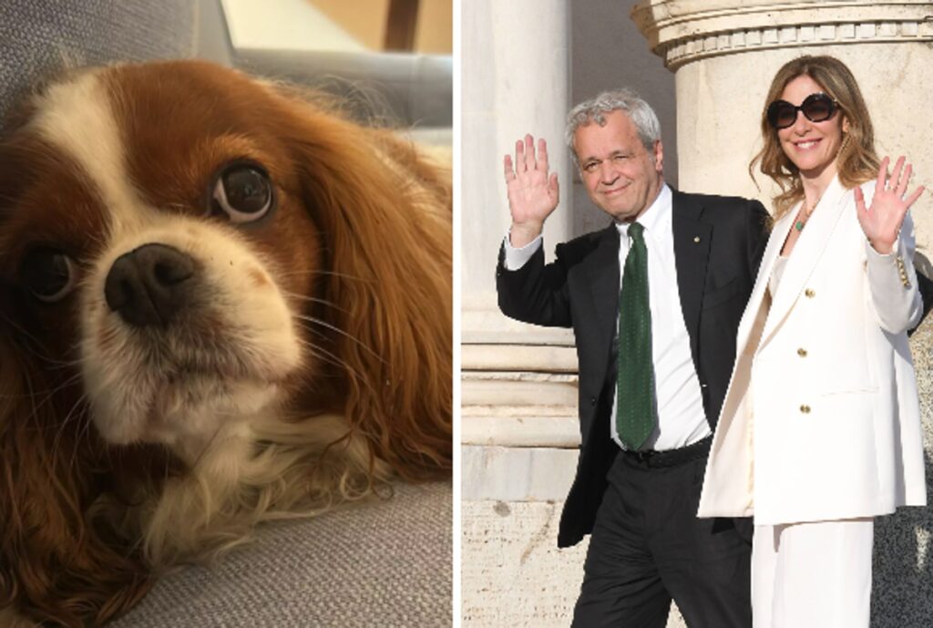 Fagnani e Mentana, addio alla cagnolina Bice: “Il dolore è profondo”