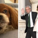 Fagnani e Mentana, addio alla cagnolina Bice: “Il dolore è profondo”