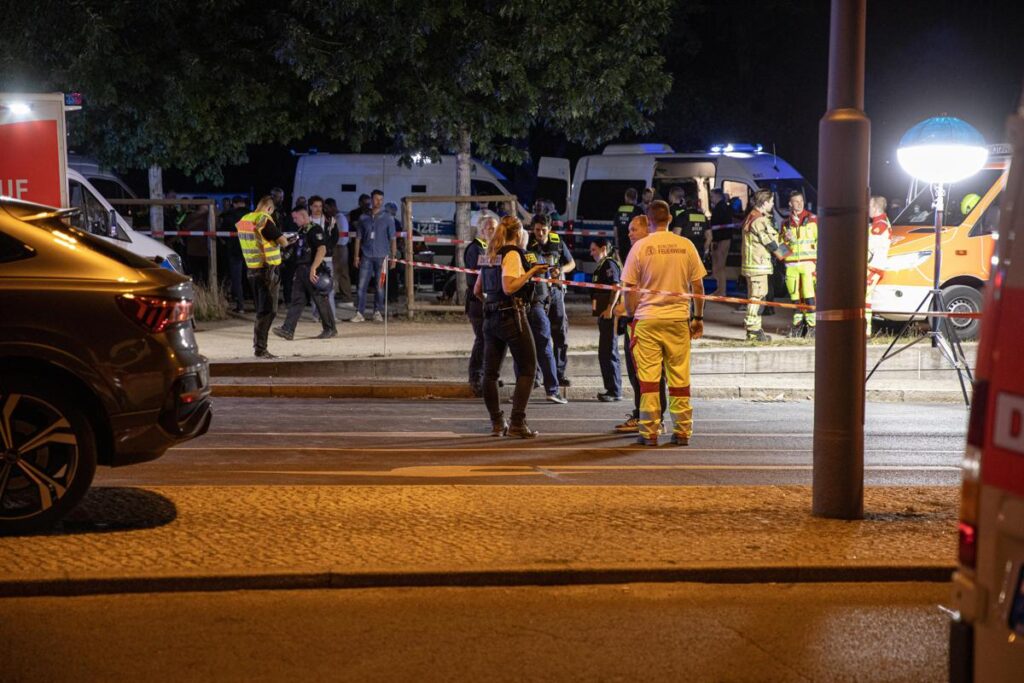 Germania, Valensise: “Immigrazione centrale in campagna elettorale, Afd sfrutterà paura”