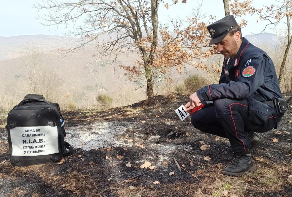 Incendi, Carabinieri Forestali: “98% causati dall’uomo, in primi 6 mesi 3800 ettari bruciati”