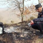 Incendi, Carabinieri Forestali: “98% causati dall’uomo, in primi 6 mesi 3800 ettari bruciati”