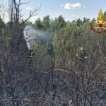 Roma, da via Pineta Sacchetti a Cinecittà: diversi incendi nella Capitale e dintorni