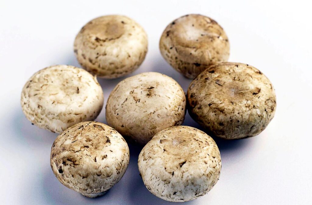 Da funghi champignon possibile azione anti-cancro prostata, si studia meccanismo
