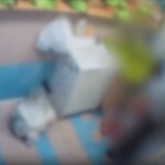 Due maestre d’asilo arrestate per maltrattamenti, altre 2 denunciate a Monza: lasciavano i bimbi incustoditi e senza cibo