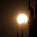 Eclissi, anche gli animali la vedranno: i consigli per non farli agitare