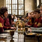 Harry Potter, la protesta dei fan: spostato il cavo sottomarino per la ‘tomba’ di Dobby