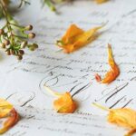 Lettera d’addio all’Elba… di 29 anni fa: “Non ci vedremo più amica mia”