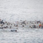 Migranti a Ceuta, Ue: “Solidali con la Spagna e cordoglio per le vittime”