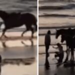 Paura per Belen, l’incidente con il cavallo: “Ho fatto una capriola tipo Dragon Ball”