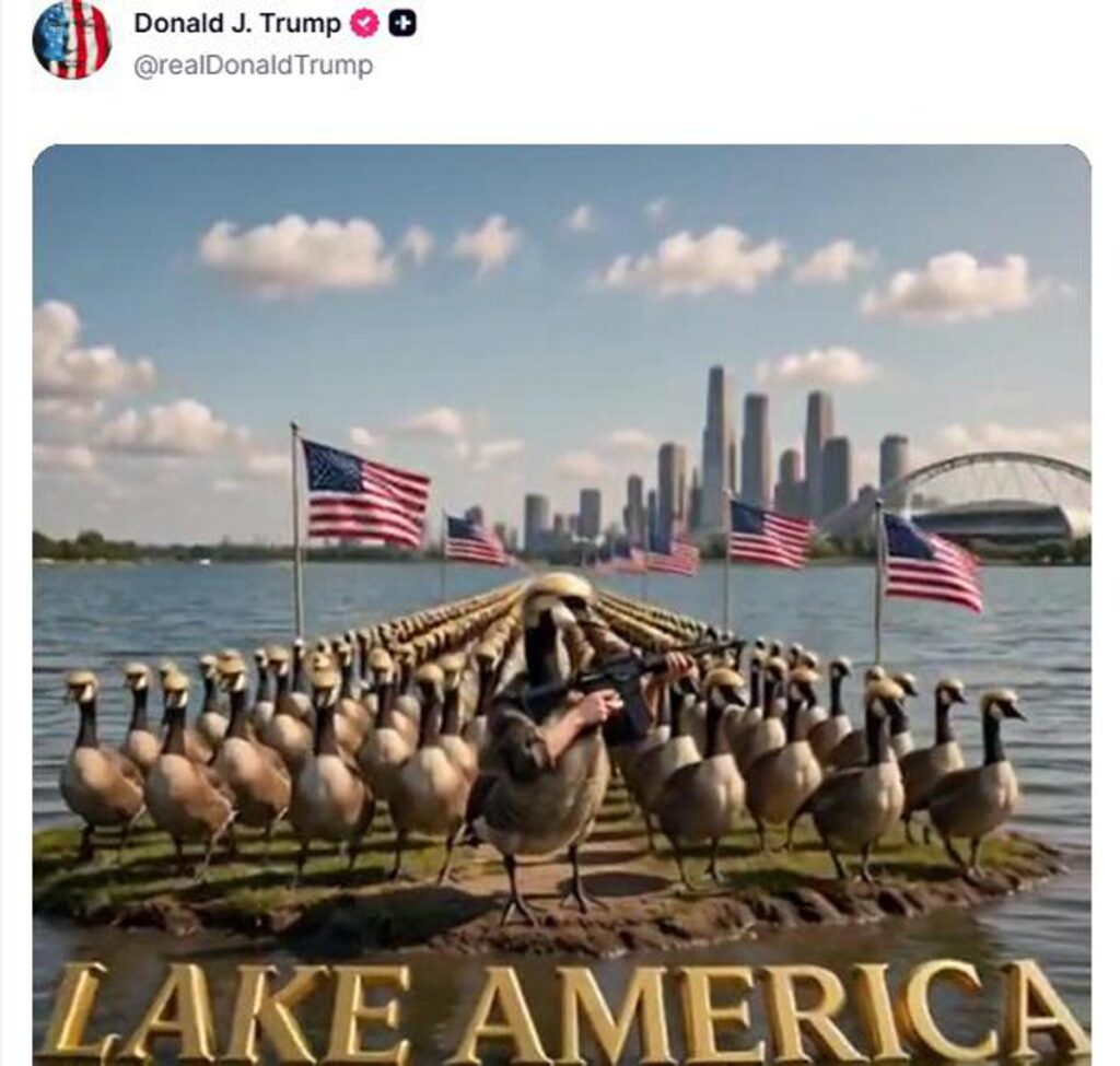 Trump posta esercito di ‘Donald Ducks’, le papere armate a difesa del Lago America