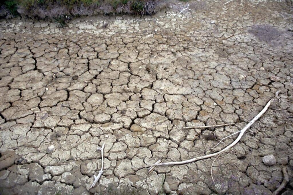 Clima, allarme Onu: “Terra in zona pericolo. El Niño sta assumendo proporzioni enormi”