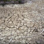 Clima, allarme Onu: “Terra in zona pericolo. El Niño sta assumendo proporzioni enormi”