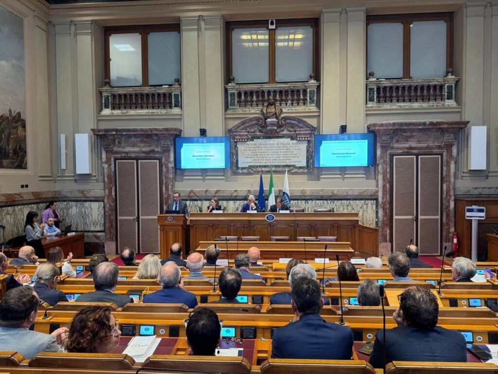Itinerari previdenziali: “Nel 2024 spesi 325 miliardi di imposte dirette per sanità, assistenza sociale e enti locali”