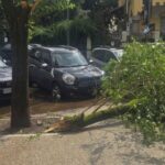 Maltempo a Roma, ramo cade fuori liceo a Coppedè: feriti 3 studenti