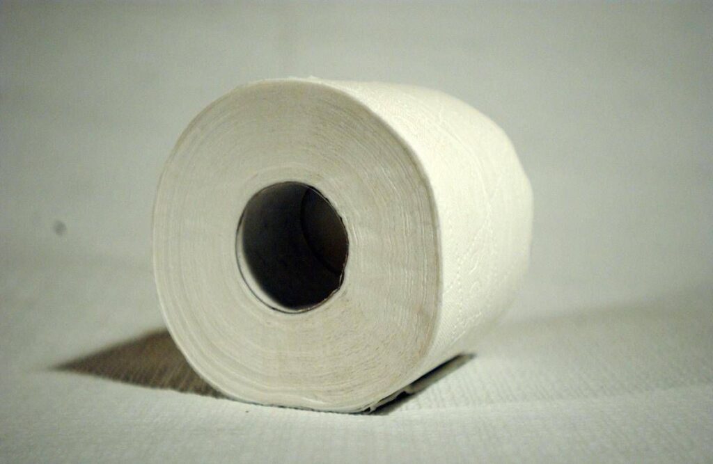 Niente più carta igienica, arriva il ‘wc intelligente’: cos’è e come funziona