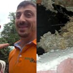 Pierluigi Diaco e Alessio Orsingher punti dalle vespe in casa, interviene il disinfestatore: “Nido enorme”