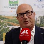 Tabacco, Trippella (Philip Morris): “Accordi di filiera fino al 2035, attenzione a regole e accise”
