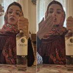 “Un saluto a Putin”, la gag social della moglie di Vannacci