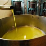 Unifol: “Per movimenti dell’olio sfuso﻿ sì alla bolla elettronica “