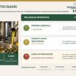 Agricoltura, Ismea: 40 mln per frantoi con ‘Cambiale Frantoi Oleari’