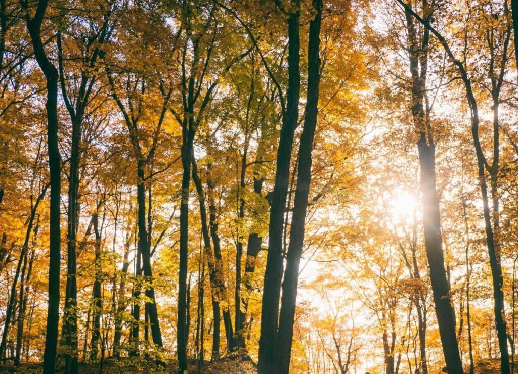 Ancora sole al Centro-Nord, maltempo in arrivo al Sud nel fine settimana: temperature in discesa