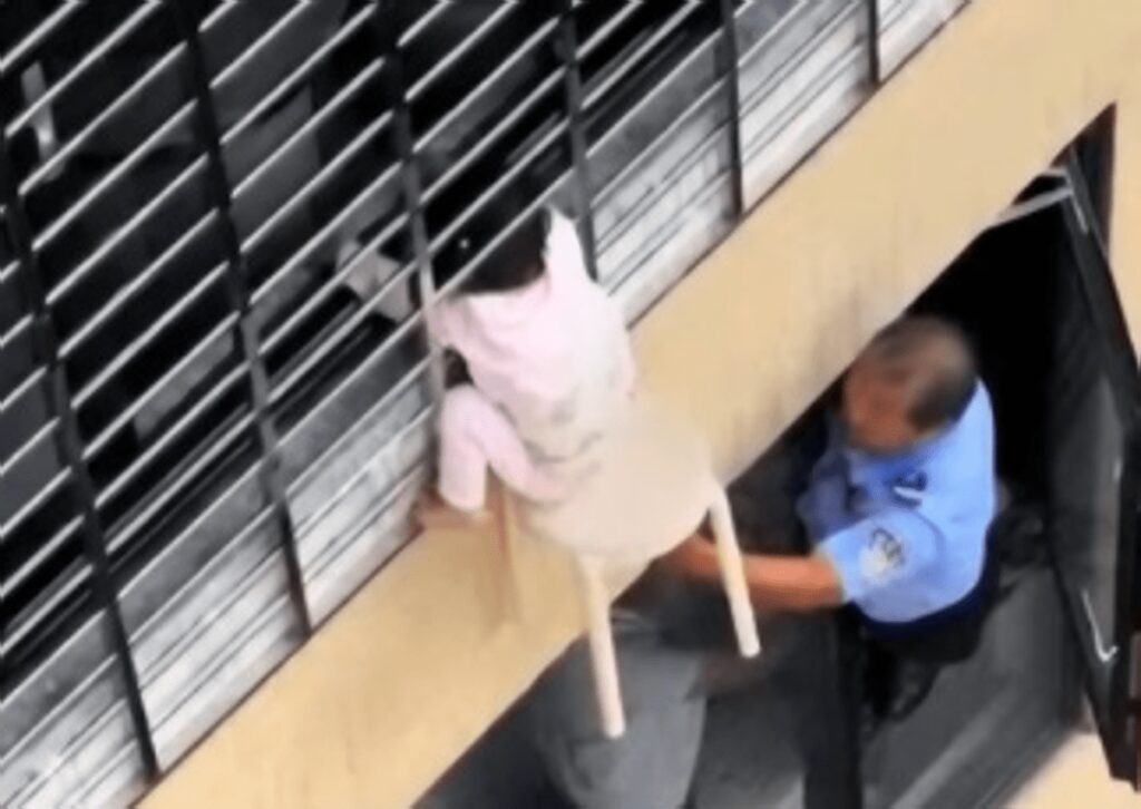 Bimba di 3 anni si sporge dalla finestra al 12esimo piano e resta sospesa nel vuoto: il miracoloso salvataggio – VIDEO