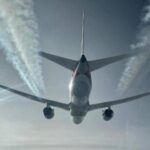 Cimici dei letti a bordo di un aereo proveniente dall’Australia, volo Qantas fermato a Fiumicino: cos’è successo