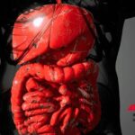 Farmaci, Aifa approva mirikizumab anche nel trattamento della malattia di Crohn
