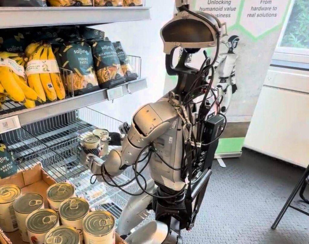 I robot lavorano al supermercato in Danimarca, gli umanoidi tra scaffali e casse