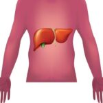 Malattie autoimmuni del fegato, nuova strategia con nanovettori in studio italiano