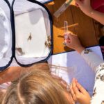Ostia, gli alunni della Gold Millennium liberano le farfalle sulla spiaggia: la natura diventa scuola