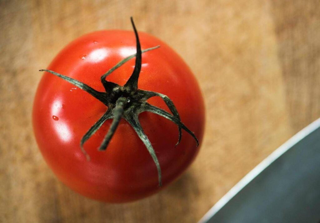Rischio salmonella a Bari, Asl vieta pomodori freschi in mense nidi, scuole e Rsa