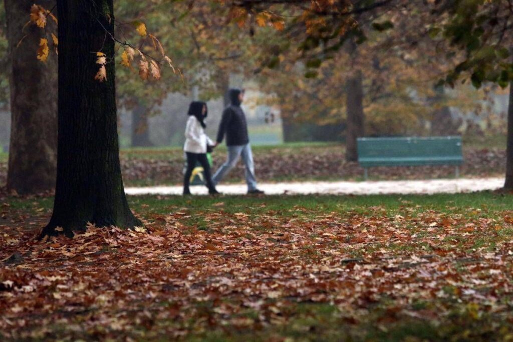 Sole e caldo anomalo fino a 20°C, poi cambia tutto: quando arriva il freddo